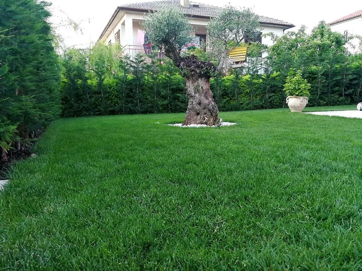 Villa Holiday House Anja Buje